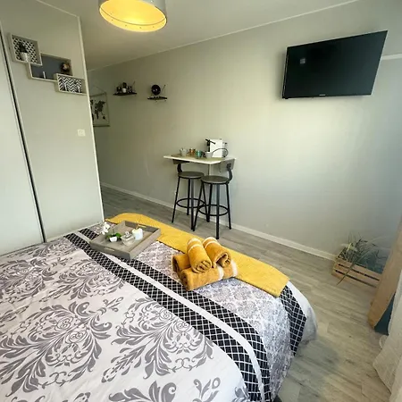 Apartamento Le Voyageur 24 M2 *